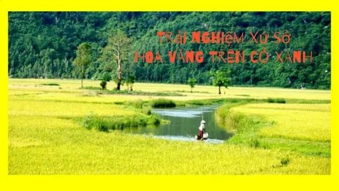 Khám phá hệ sinh thái dịch vụ video ngắn của Hotspot Matrix_Hiệu quả tiếp thị kỹ thuật số kênh